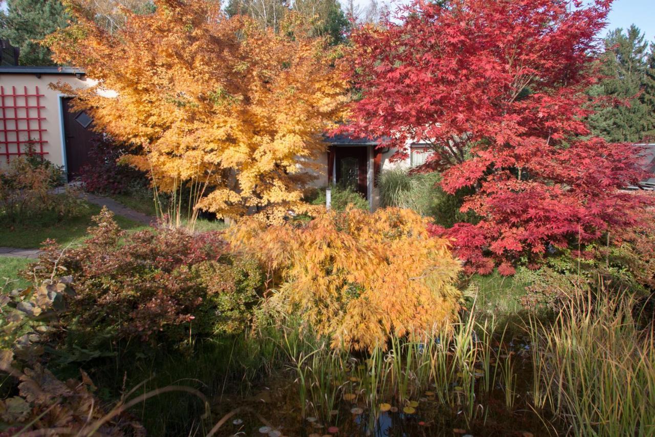 쿠로르트고리슈 Ferienhaus "Am Waldsaum" 아파트 외부 사진